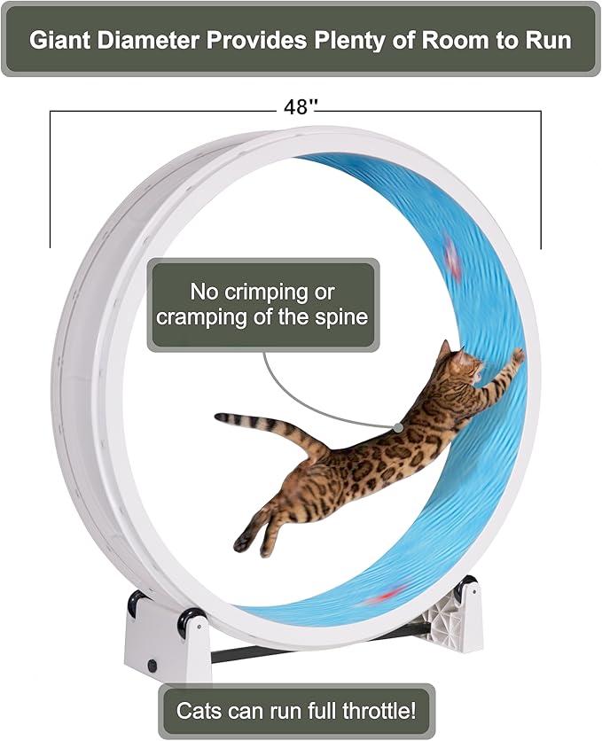 One Fast Cat - Cat Exercise Wheel - Gen. 7 - Safe 48" Diameter - Made in The USA - White Wheel with Koi Pond Foam Traction Pads and Light-Up LED Inline Wheels