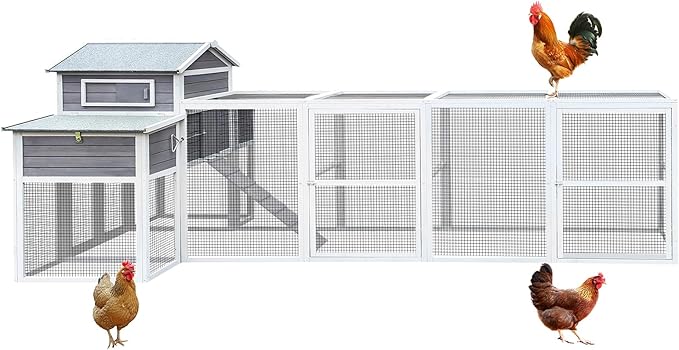 150" Extra Large Chicken Coop – Outdoor Wooden Hen House with Black Rust-Proof Metal Wire, 2 Spacious Nesting Boxes, 5 Perches, Predator-Proof & Durable Chicken Cage for 4-6 Poultry White