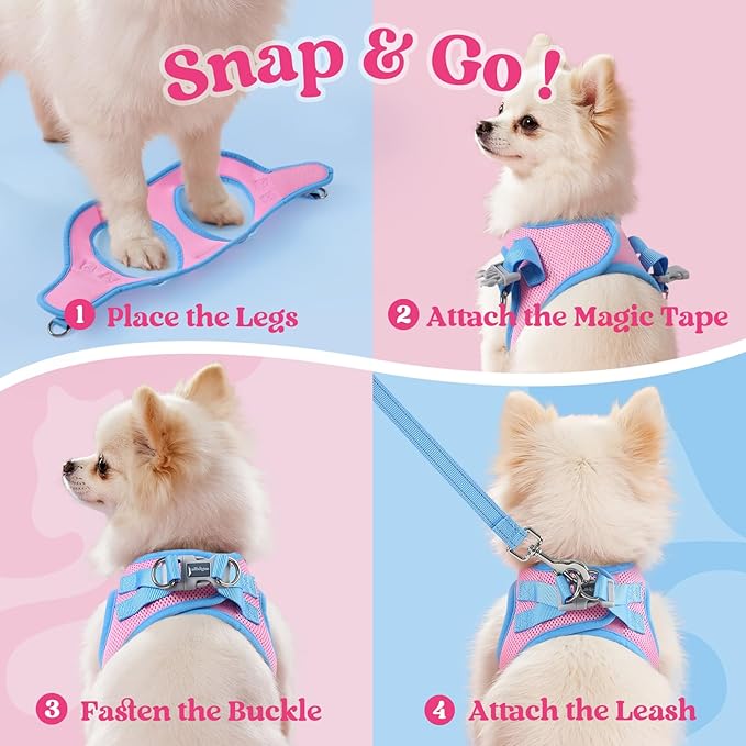 rabbitgoo Dog Harness Small Sized and Leash Set, Step-in Breathable Pet Harness, Soft Walking Reflective Puppy Vest for Small Dogs, Pink & Light Blue, XXS