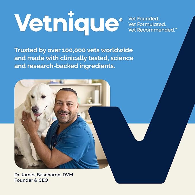 Vetnique Labs Glandex Anal Gland Soft Chew Treats with Pumpkin for Dogs Digestive Enzymes, Probiotics Fiber Supplement for Dogs Boot The Scoot (Bacon/Pork Chews, 60 Count)