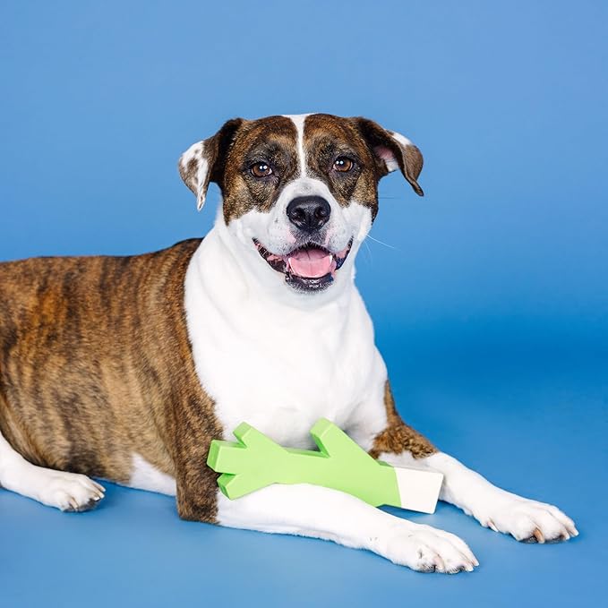 Fringe Studio "Stick with ME Lime/White Rubber Dog Toy, Pet Shop Collection (518034)