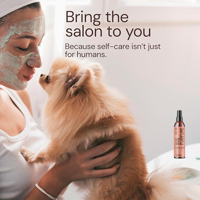 Sunny & Honey Dog Perfume Spray & Cologne - 4 fl oz (2-Pack) - Beach Scent - pH-Balanced, Long-Lasting Deodorizing & Hydrating Detangling Spray with Aloe & Vitamin E - Dog Grooming Supplies
