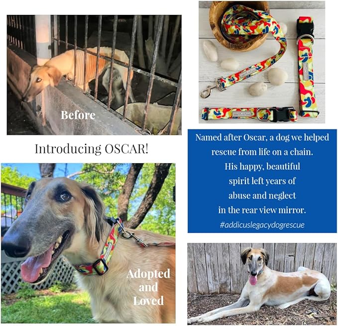 Lucky Love Dog - Adjustable Dog Collar and Leash Set with Easy Click Buckle for Small to Large Dogs, Durable, & Comfortable Collar for Male & Female Dogs, Puppies & Adult Ones - Oscar Combo, Medium