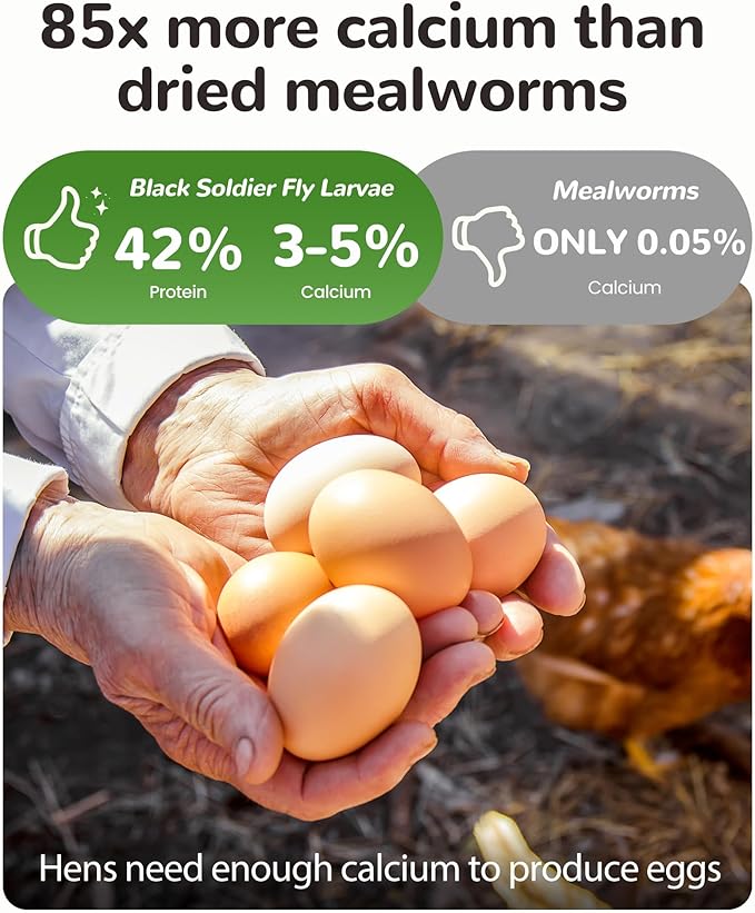 5LB Dried Worms Black Soldier Fly Larvae for Chickens Birds, High Protein 85x Calcium Than Mealworms 100% Natural Non-GMO, Tasty Treats Worms Grubs for Chickens Ducks Laying Hens