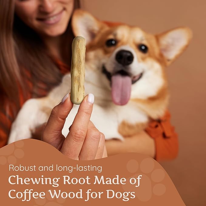 Wildfang® Coffee Wood Dog Chew, Small – Tough Chew Toys for Aggressive Chewers, Dog Teething Toys for Puppies, Training for Chewing Muscles, Coffee Tree Sticks for Small Dogs (22–33 lbs), Pack of 3