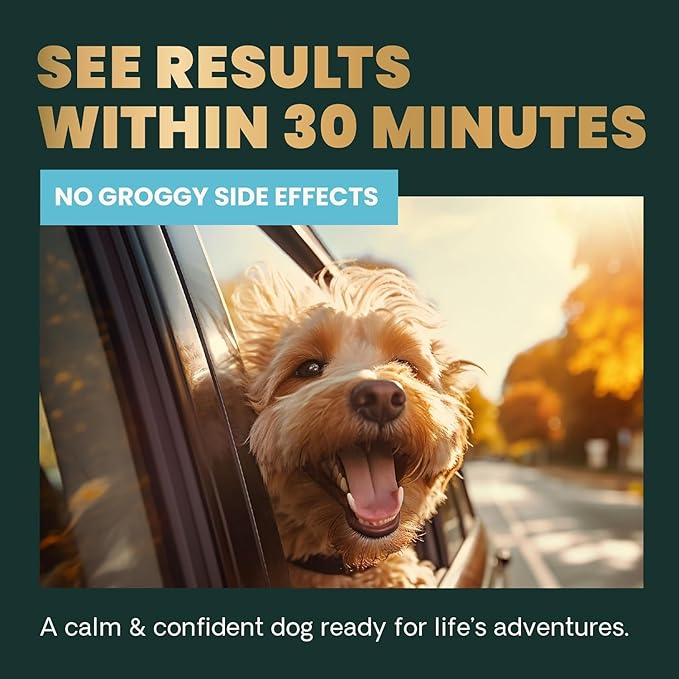 VetriScience Calm & Confident Chews, Composure Clinically Tested Calming and Anxiety Supplement for Dogs, Reduce Stress and Fear, for Thunderstorms, Fireworks and Travel, Peanut Butter, 120 Count