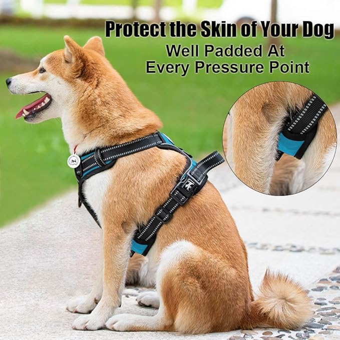 PoyPet No Pull Dog Harness, Reflective Comfortable Vest Harness with Front & Back 2 Leash Attachments and Easy Control Handle Adjustable Soft Padded Pet Vest for Small to Large Dogs (Blue,L)