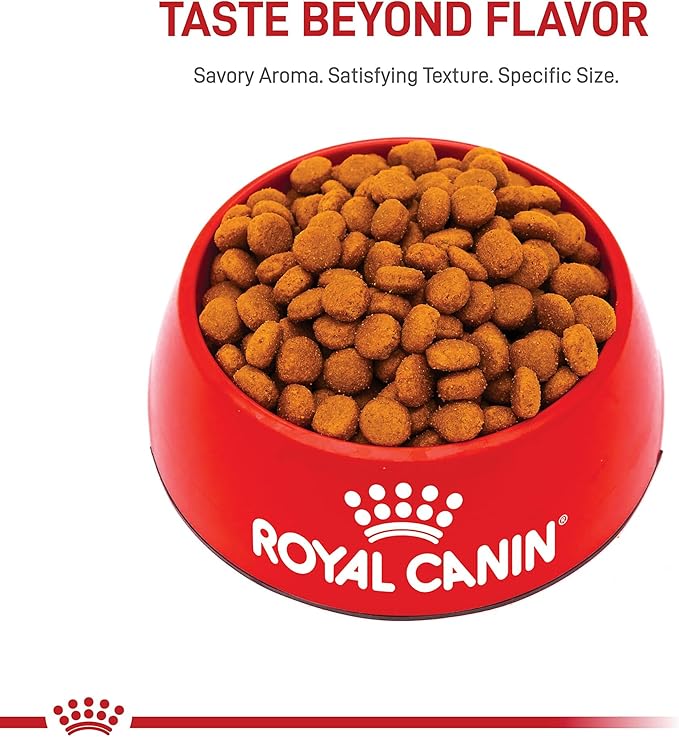 Royal Canin Size Health Nutrition Large Adult Dry Dog Food, 30 lb Bag