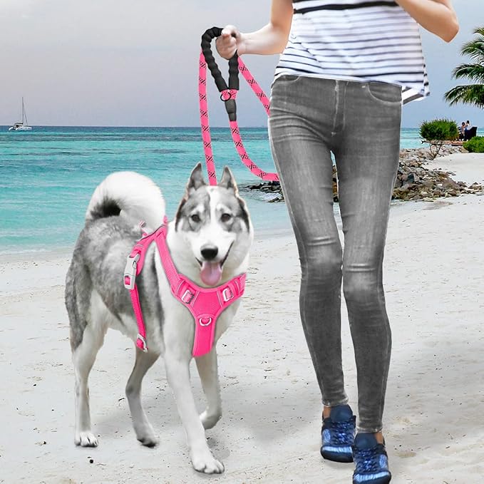 BARKBAY No Pull Dog Harness Large Reflective Dog Harness with Front Clip and Easy Control Handle for Walking Training Running with ID tag Pocket(Pink,M)