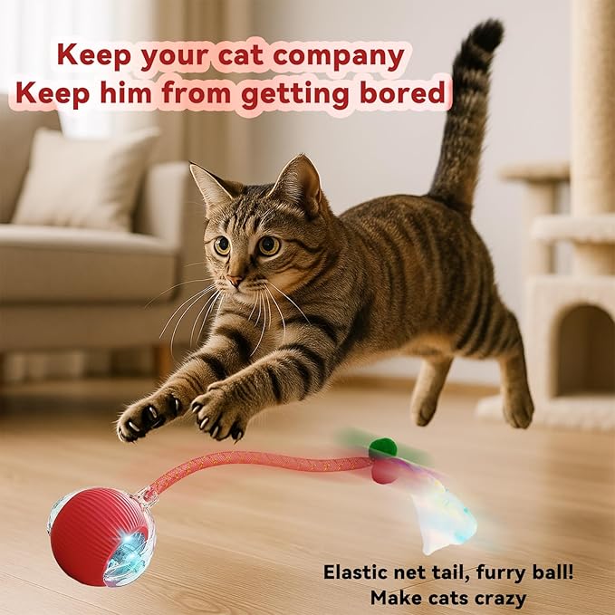 Interactive Cat Toys for Indoor Cats, Automatic Cat Toy with Elastic Mesh Tail, Electric Rolling Ball on Carpet, Chirping and Motion Activate Cat (Green)