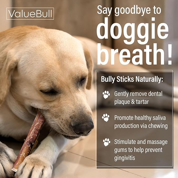 ValueBull Bully Sticks for Dogs, Thick 6 Inch, 400 Count Wholesale Pack - All Natural, Grass Fed, Single Ingredient, Long Lasting Dog Treats