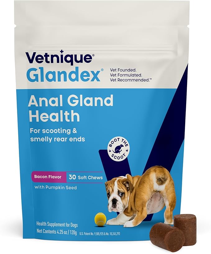 Vetnique Labs Glandex Anal Gland Soft Chew Treats with Pumpkin for Dogs Digestive Enzymes, Probiotics Fiber Supplement for Dogs Boot The Scoot (Bacon/Pork Chews, 30 Count)