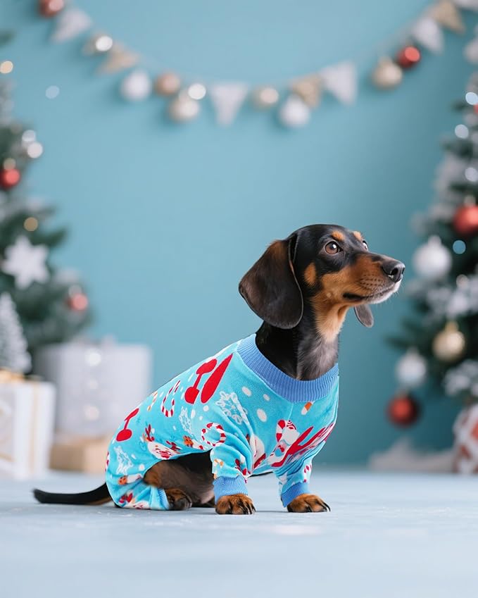 PET SHOW 4 Pack Small Dog Christmas Pajamas Holiday Dog Clothes for Medium Dogs Girl Boy Soft Stretchy PJs Xmas Jumpsuit Puppy Cats Onesies Red Green Outfits with Sleeve Pets Dachshund Costume L