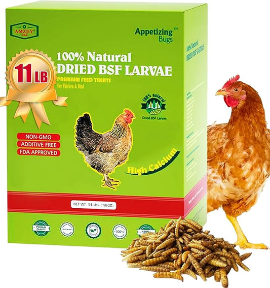 Amzey Dried Black Soldier Fly Larva/Dried Mealworms - 11 LBS - 100% Natural BSF Larvae - 85XMore Calcium Than Mealworms - High Calcium Treats for Chickens, Birds, Reptiles, Hedgehog, Geckos, Turtles