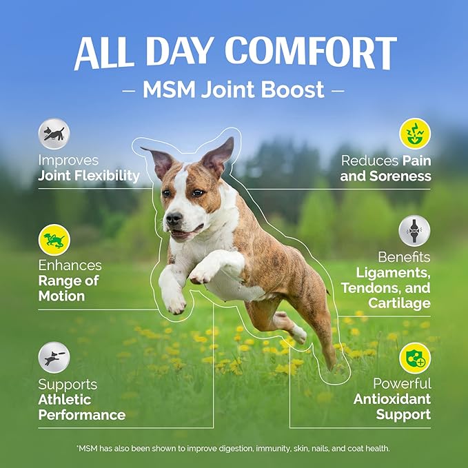 MSM Joint Boost Powder - Hip & Joint Dog Supplement for Joint Mobility & Flexibility - Natural Anti-Inflammatory with Sulfur - Unflavored