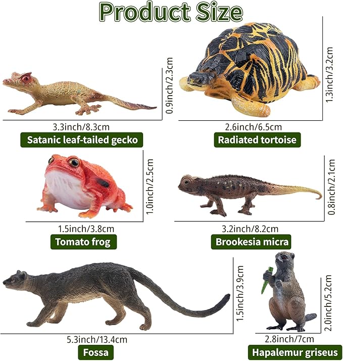 Toymany 12PCS Madagascar Animal Figurines Set, Realistic Lemur Jungle Animal Toys Set Includes Chameleon, Tortoise,Gecko,Fossa,Sifaka -Educational Forest Animals Figure Toy Collection for Kids Adults