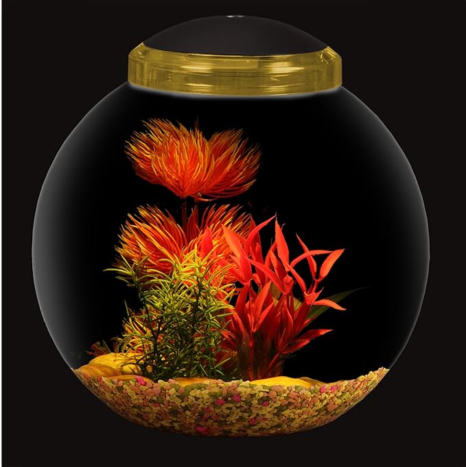Koller Products 3-Gallon Globe Fish Bowl, Impact- Resistant Plastic Fish Tank with LED Lighting, Crystal-Clear Clarity, Desktop Aquarium Tank for Betta Nano Goldfish Peacockfish Zebrafish, Home Décor