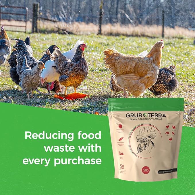 GrubTerra Golden Dried Black Soldier Fly Larvae - Premium Supplement to Increase Egg Production for Hen Treats, Bird Feed, Chicken Feeder, Pet Bird Food, and Wildbird Feed, Never from China! (5lb)