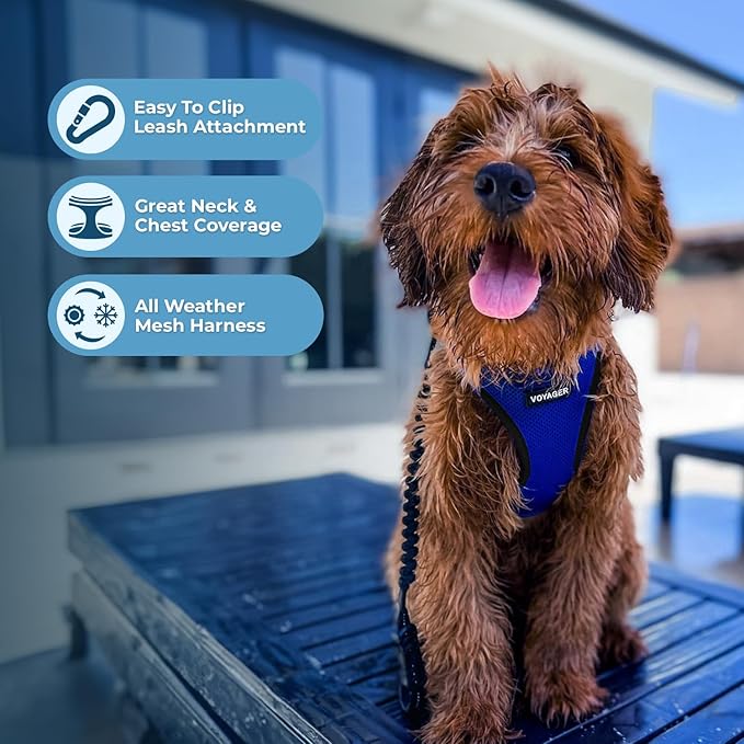 Voyager Step-in Air All Weather Mesh Harness and Reflective Dog 5 ft Leash Combo with Neoprene Handle, for Small, Medium and Large Breed Puppies by Best Pet Supplies - Royal Blue/Black Trim, Medium
