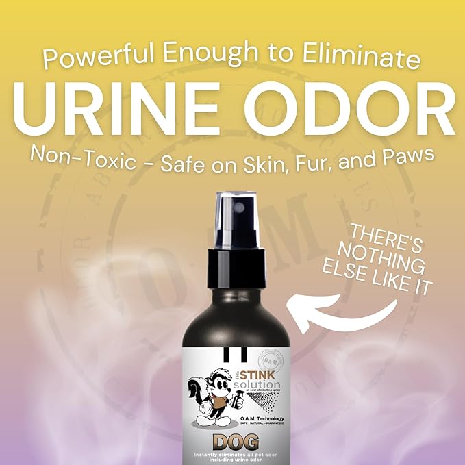 The Stink Solution Dog Odor Eliminator For Home, Furniture, Carpet, & More | Quick and Complete Feces, Vomit, Must, & Pet Urine Remover | Dog Products - 2 16 oz Bottles (Pomegranate)