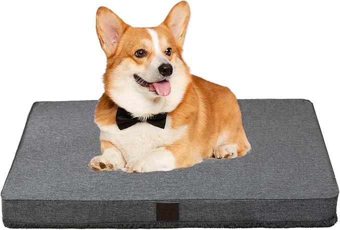 DaysU Dog Bed for Small Dogs, Orthopedic Dog Beds with Removable Washable Cover, Small Egg Crate Foam Pet Bed Mat, Dark Grey, Suitable for Dogs Up to 20 lbs, 30x20x3in
