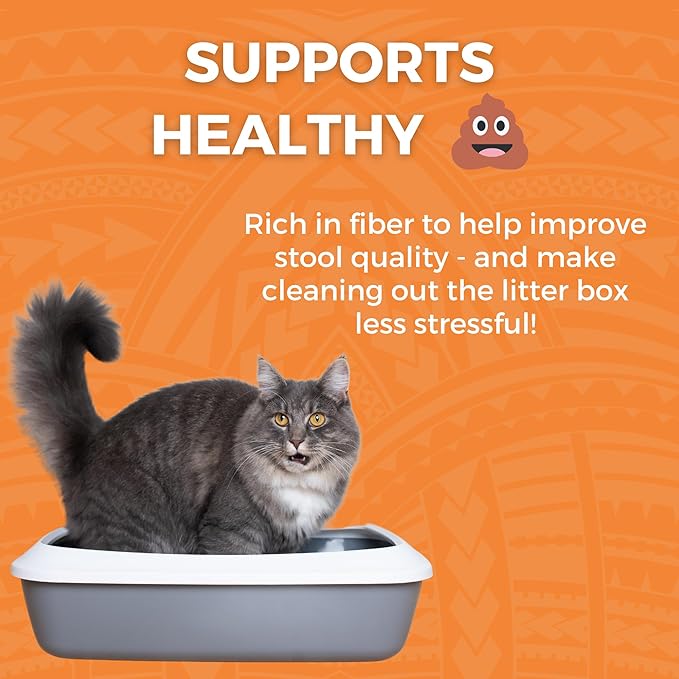 KOHA Pet Limited Ingredient Bland Diet for Cats, Chicken and White Rice Recipe Sensitive Stomach Wet Cat Food, Gentle Formula Easy to Digest Bland Diet Cat Food, 6 oz Pack of 12