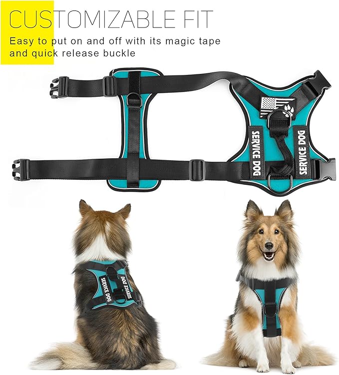 Demigreat Dog Service Harness, Reflective, Adjustable, Durable, Large, Turquoise, Solid