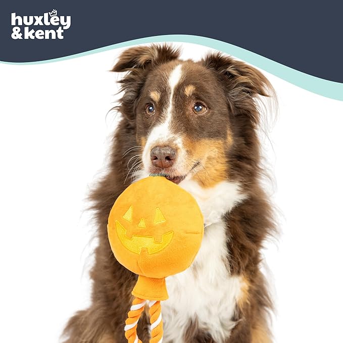 Huxley & Kent Halloween Funny Dog Toy w/Squeaker – Power Plush Squeaky Dog Toys for Small, Medium & Large Dogs – Soft Stuffed Animal for Indoor Play & Fetch - Jack-o-Lantern Safety Pop, One Size