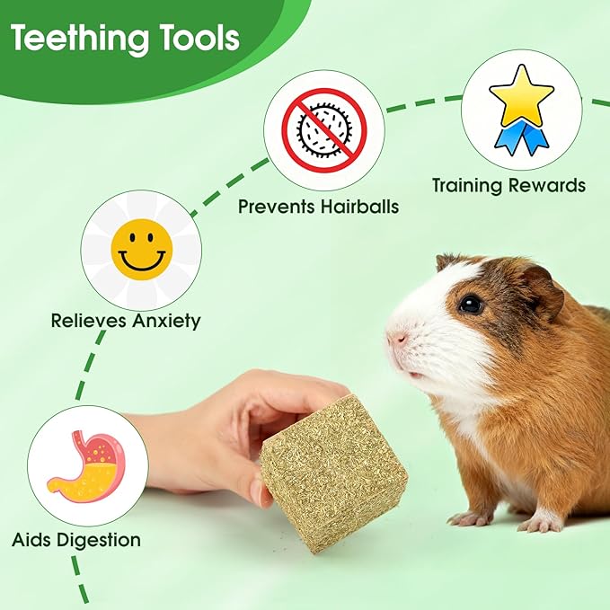 Abizoo Natural Rabbits Chew Toys Timothy Hay & Pine Wood Blocks for Guinea Pigs, Hamsters Small Animal Dental Care Digestion & Molar Health Vitamin-Enriched Safe Chewing Treats