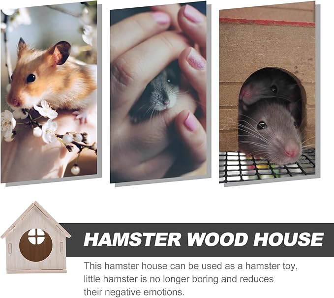 Wooden Hamster House Hideout for Small Pets and Design for Dwarf Hamsters Gerbils and Mice Cozy Sleeping Space and Fun Exercise Area