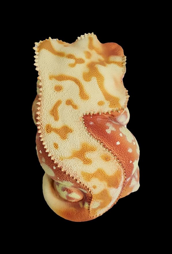 Animal Heavenly Body Gecko Rhacodactylus Ciliatus - Crested Gecko (Red Cream) Chubby Collectible Figurine Statue Handcrafted Amphibian