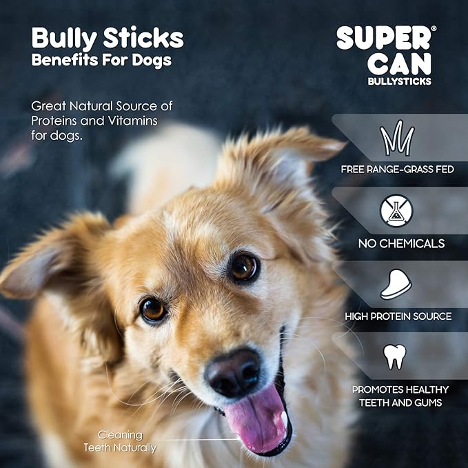 SUPER CAN BULLYSTICKS Bully Sticks for Dogs 6" Standard [25-Count] 100% Natural Dog Chews - Long Lasting Chew Medium Large Dogs - Free Range Grass Fed - Non GMO Beef - Treats for All Breeds