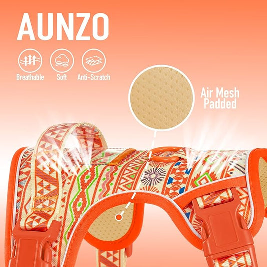 Light Dog Harness for Small Dog Breeds, No-Pull Pet Harness with 2 Leash Clips, Adjustable Soft Padded Dog Vest, Reflective No-Choke Pet Oxford Vest, Puggle, Terriers, Beagle, Orange Ethnic, Small