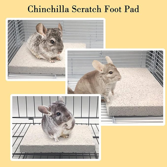 BNOSDM 2Pcs Chinchilla Grinding Claw Pads Hamster Scratch Foot Pad Natural Bunny Lava Stone for Teeth Rabbit Scratching Pad Chew Toy for Guinea Pig Ferret Rabbit Mouse(White)