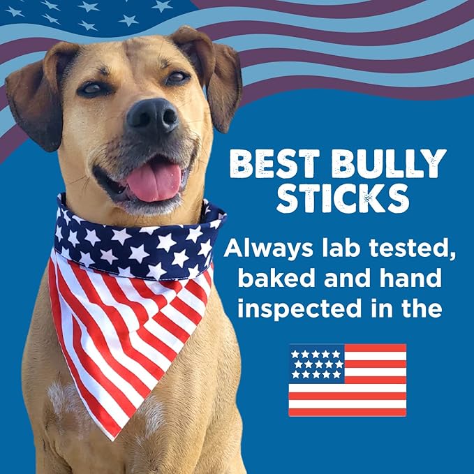 Best Bully Sticks Thick 12 Inch Bully Sticks for Dogs - 5 Count (Pack of 1) - Natural Grass-Fed Beef, Single Ingredient, Grain and Rawhide Free - Large Breeds