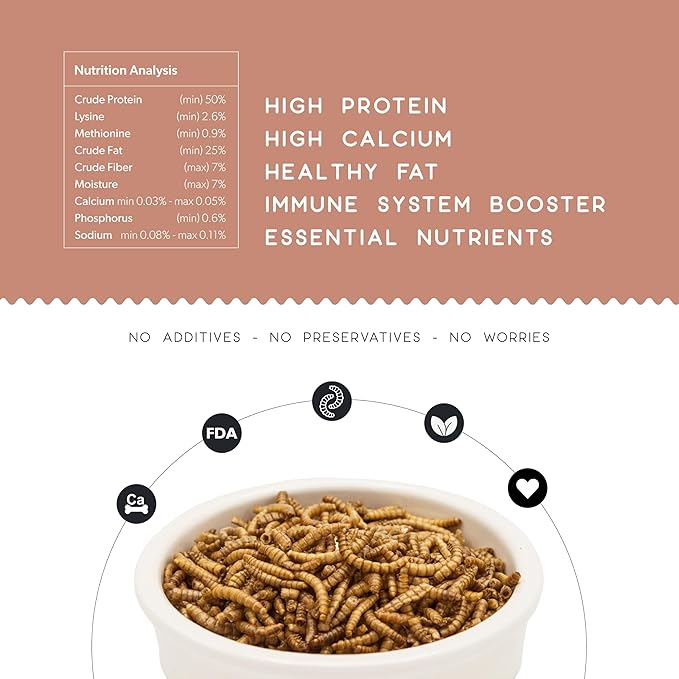 FLYGRUBS Superior to Dried Mealworms for Chickens (20 lb) 85X More Calcium Non-GMO Chicken Feed Additive & Molting Supplement - BSFL Treats for Hens, Ducks, Turkeys, Wild Birds, Turtles, Quails