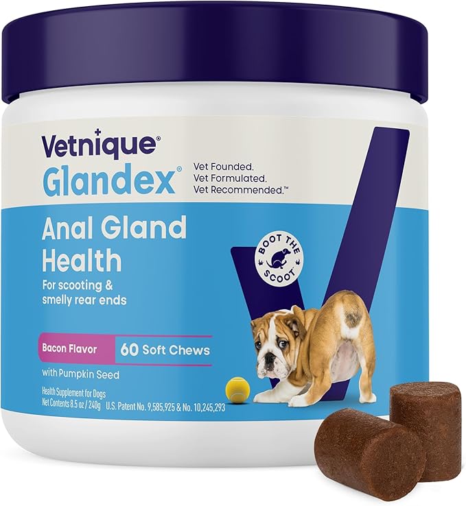 Vetnique Labs Glandex Anal Gland Soft Chew Treats with Pumpkin for Dogs Digestive Enzymes, Probiotics Fiber Supplement for Dogs Boot The Scoot (Bacon/Pork Chews, 60 Count)