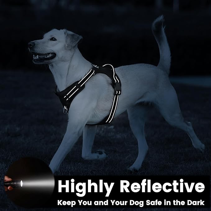 No Pull Dog Harness, Reflective Puppy Vest for Small Medium Large Sized Dog(Black,M)