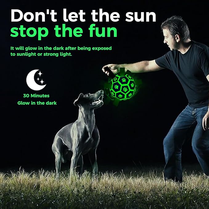 QDAN Premium Glow in The Dark Dog Toys, Dog Ball with Straps, Soccer Ball for Dogs, Outdoor Dog Toys, Pet Birthday Toys, Puppy Essentials for Medium to Large (8Inch)