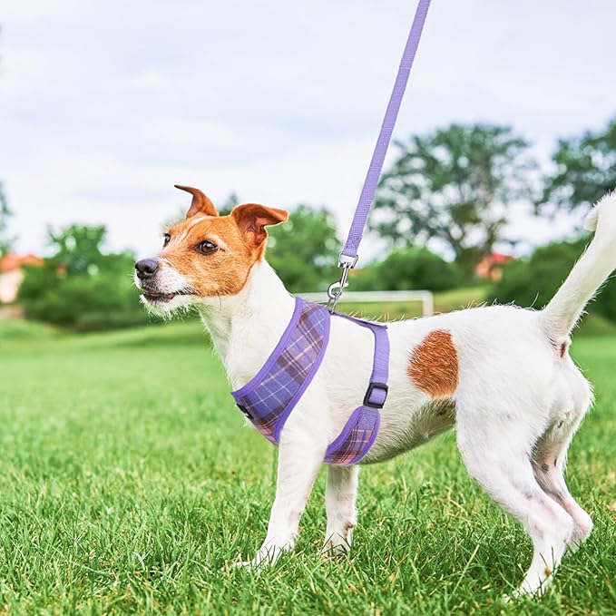 SCENEREAL Puppy Dog Harness with Leash Set for Small Medium Sized Dogs, Soft Mesh Step in Pet Harnesses and Leash, No Chock Plaid Adjustible No Pull Vest for Dogs Cats, Chihuahua,Bulldog (Purple M)