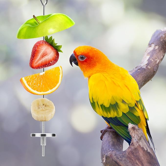 Bird Food Holder Stainless Steel Fruit Vegetable Stick Skewer for Parrots Cockatoo Cockatiel Cage Treating Tool (L: 7.86inch)