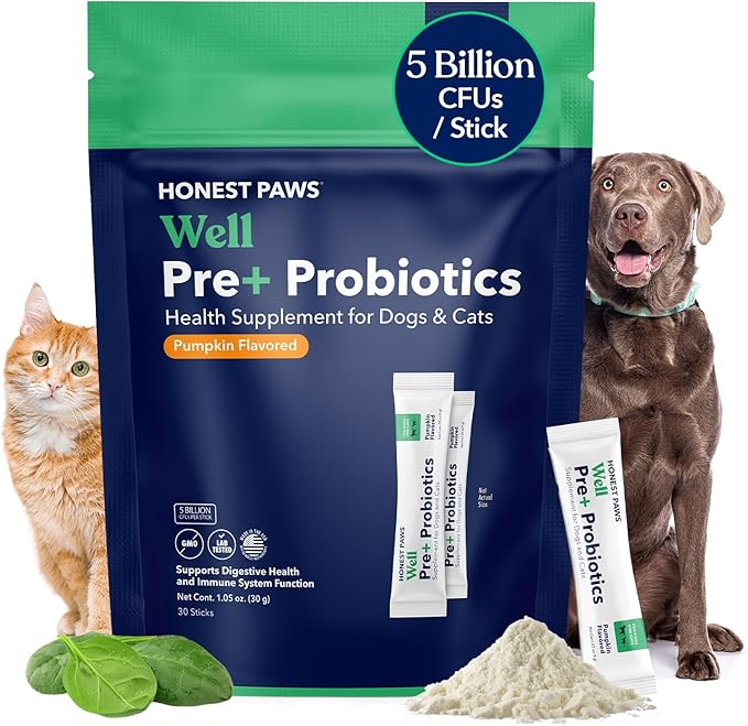 Honest Paws Probiotics for Dogs - Dog Digestion Gut Health Probiotic Powder with Prebiotic Made in The USA, Digestive and Immune Support - Digestive Enzymes with Pumpkin Flavor (30 Sticks)