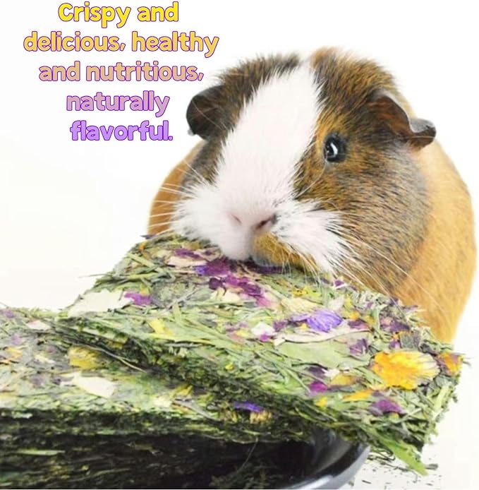 Bunny Toys 5 Pieces Chew Toys Teether Totoro Dutch Pig Guinea Pig with Flower Timothy Grass Snack (Small)