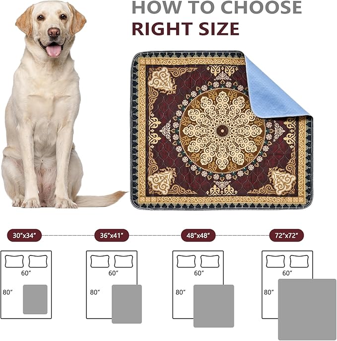 Qeils Washable Pee Pads, Reusable Puppy Pads Super Absorbent Leakproof Dog Training Pads, Non-Slip Wee Wee Pads for Crate, Floor, Potty Pads Feeding Mat Dog Pee 2 Pack 48"x48"