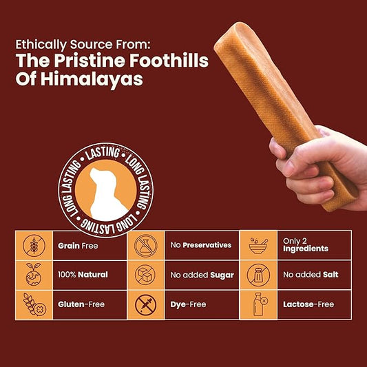 Authentic Himalayan Yak Cheese for Dogs - Medium (Pack of 10) - Sourced from Pristine Himalayan Foothill, Rawhide-Free, NO preservatives