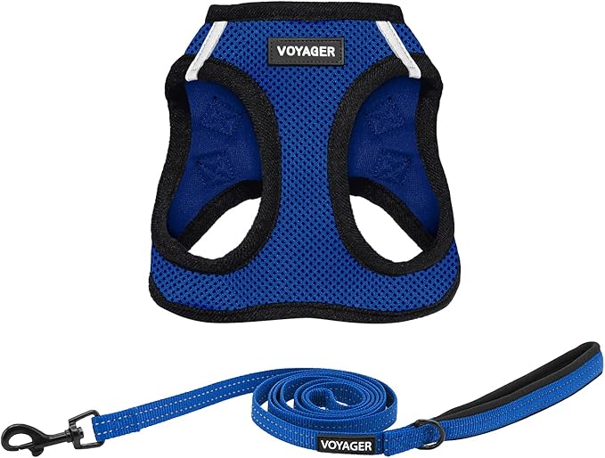 Voyager Step-in Air All Weather Mesh Harness and Reflective Dog 5 ft Leash Combo with Neoprene Handle, for Small, Medium and Large Breed Puppies by Best Pet Supplies - Royal Blue/Black Trim, X-Large