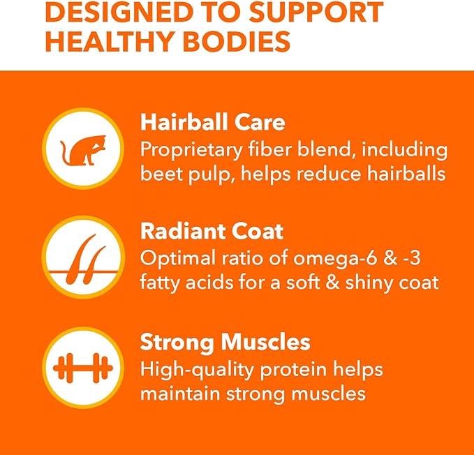IAMS Proactive Health Long Hair Care Adult Dry Cat Food with Real Chicken & Salmon, 3 lb. Bag