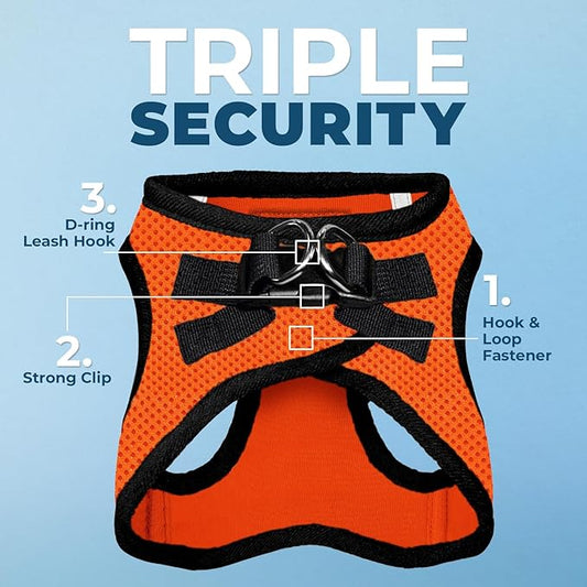 Voyager Step-in Air All Weather Mesh Harness and Reflective Dog 5 ft Leash Combo with Neoprene Handle, for Small, Medium and Large Breed Puppies by Best Pet Supplies - Orange/Black Trim, Small