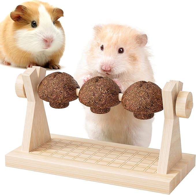 mini&moe Hamster Chew Toys for Teeth - Guinea Pig Chews and Treats Natural Hamster Enrichment Toys Improve Dental Health for Rat, Bunny, Chinchilla, Gerbils and Small Animal