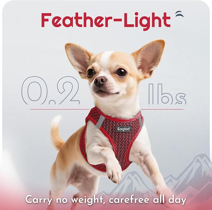 Eagloo Small Dog Harness and Leash Set, Step in Puppy Vest with Breathable Soft Mesh, Walking Reflective Pet Harness for Medium Small Dogs, Red, L